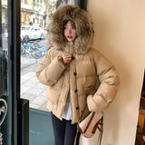 Fashionkova party look inspos Women's Cropped Down Jacket Big Fur Collar Buttoned Topcoat Solid Coat Female Thickned Warm Short Jacket 2024 Winter