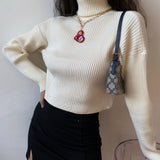 FashionKova - Minimalist Lifestyle Knit Turtleneck Sweater