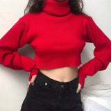 FashionKova - Chunky Knit Cropped Sweater