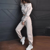 Autumn Long Sleeved Solid Chunky Tracksuit Women Hoodie Top + Elastic Waist Pants Casual Outfit 2022 Winter Warm Two Piece Sets