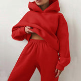 Fashionkova  Women Tracksuit Casual Solid Long Sleeve Hooded Sport Suits Autumn Female Fleece Sweatshirts And Long Pants Warm Two Piece Sets