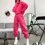 Autumn Long Sleeved Solid Chunky Tracksuit Women Hoodie Top + Elastic Waist Pants Casual Outfit 2022 Winter Warm Two Piece Sets