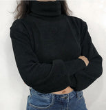 FashionKova - Chunky Knit Cropped Sweater